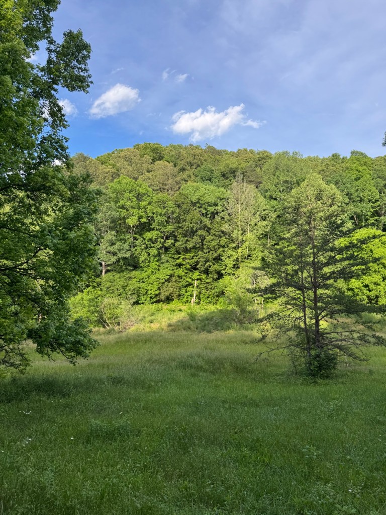 Why I Started My&nbsp;Blog